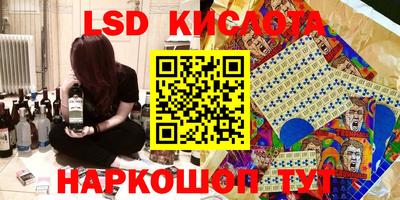 PSILOCYBIN Моздок