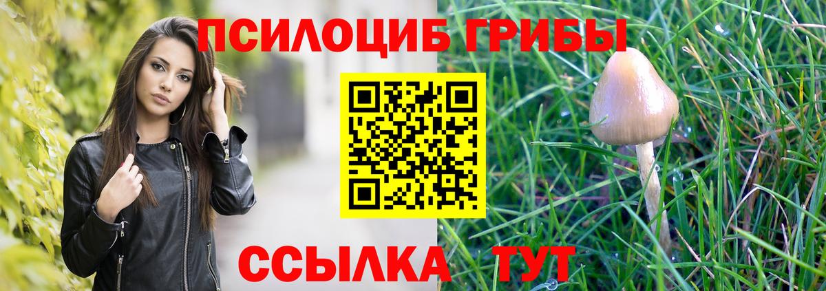 Псилоцибиновые грибы прущие грибы Сертолово