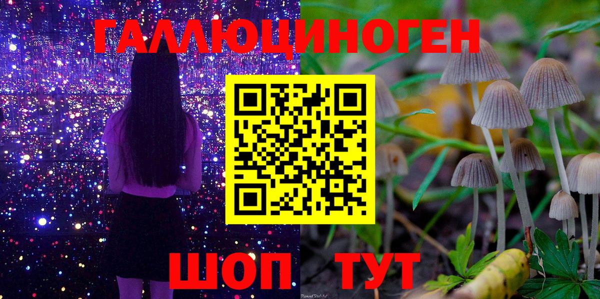 Галлюциногенные грибы GOLDEN TEACHER  Галлюциногенные грибы Cubensis  Сертолово  Вход с VPN 